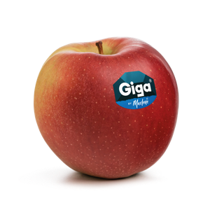 Giga